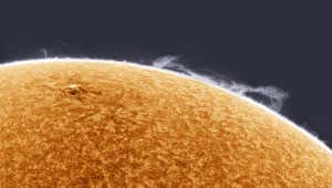 Clouds of Hydrogen Gas ? Simon Tang Clouds of hydrogen gas give way as the magnetic field lines of the sun snap and clash together. This display of nature creates astonishing features, known as prominences, on the limb of the Sun. Taken with QHYCCD QHY5III-174M camera, 5040mm f/33.6, 1000 x 12-millisecond frame exposures Location: Los Angeles, California, United States