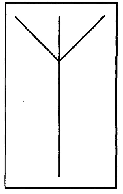 存储进 DNA 的小维纳斯（microvenus）图片 来源：相关论文