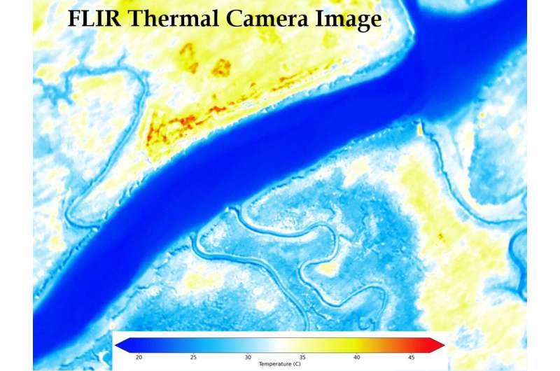 Infrared images like this one from a marsh area on the Maryland/Virginia Eastern Shore coastal barrier and back bay regions reveal clues to scientists about plant health, photosynthesis, and other conditions that affect vegetation and ecosystems. Credit: John Moisan NASA researcher's AI 'eye' could help robotic data-gathering