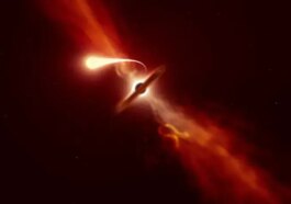 Star Disruption by Supermassive Black Hole